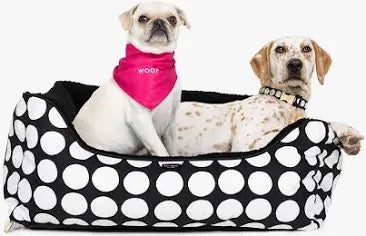 Kate Spade Collection