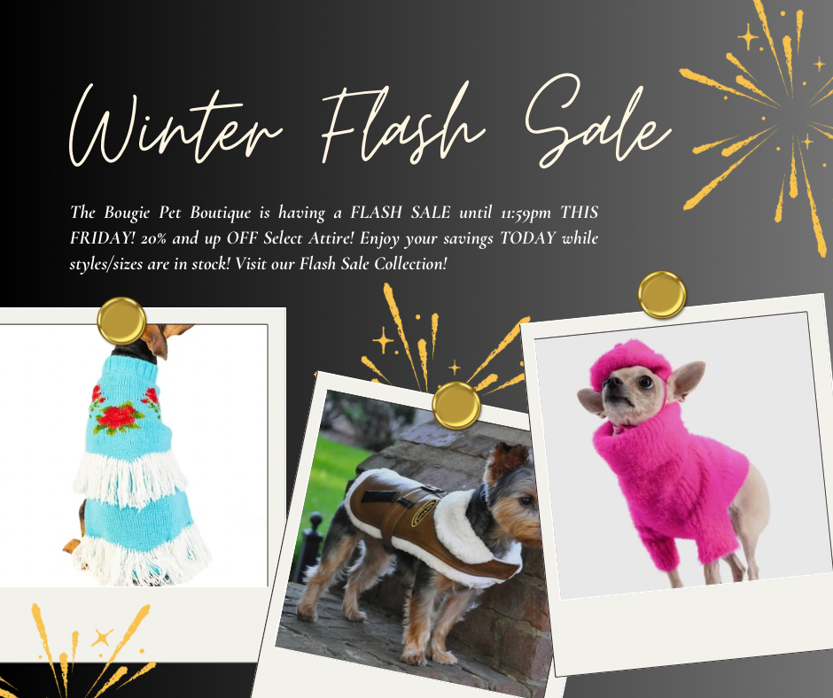 Flash Sale