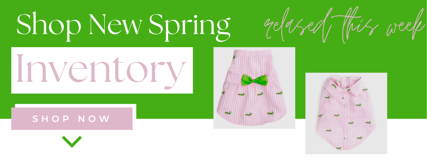 Spring Inventory