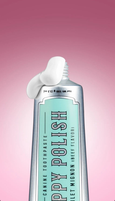 Puppy Polish Toothpaste - Filet Mignon (Beef)