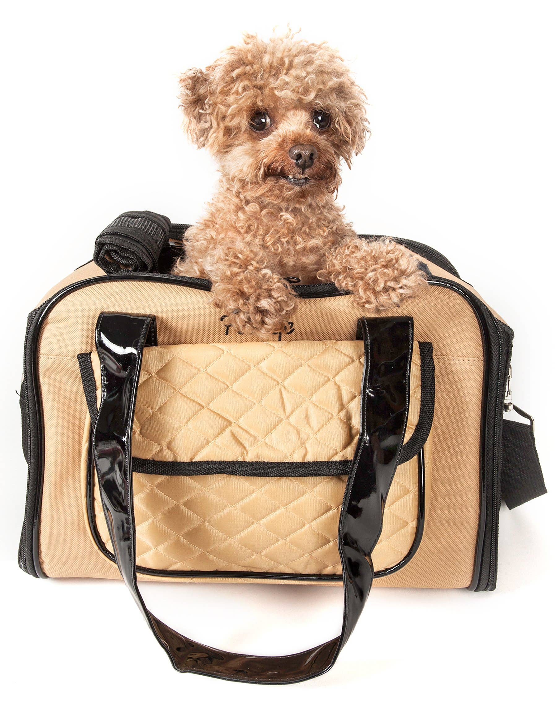 Airline Approved Mystique Fashion Pet Carrier Pet Life