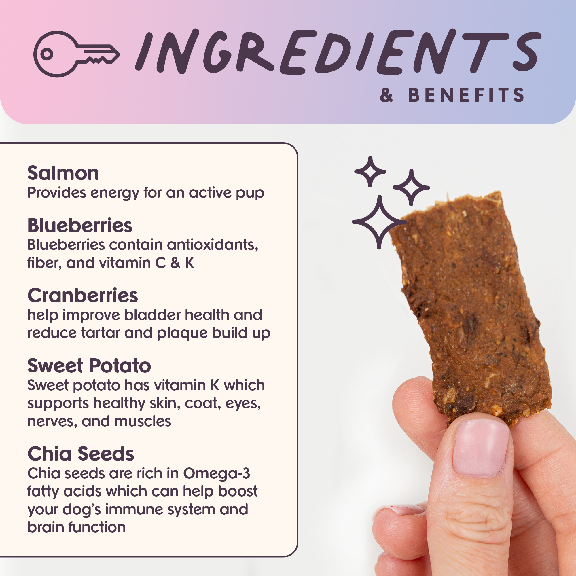 Ride & Vibe Wild-Caught Salmon Jerky Bars for Dogs 5oz