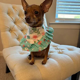 Cactus Ruffled Bandana