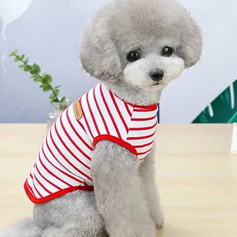 Bougie Striped Shirt