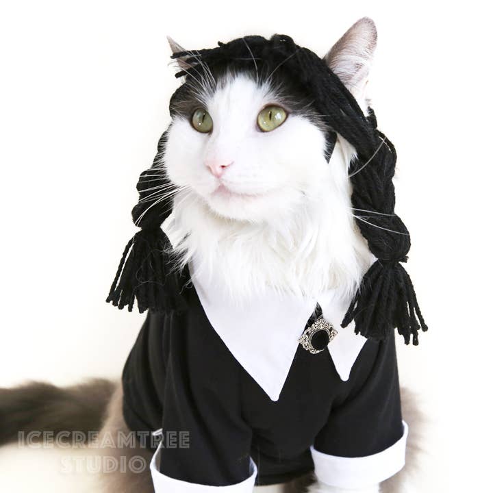 Wednesday Look Outfit Black Shirt Dress - Dog Cat