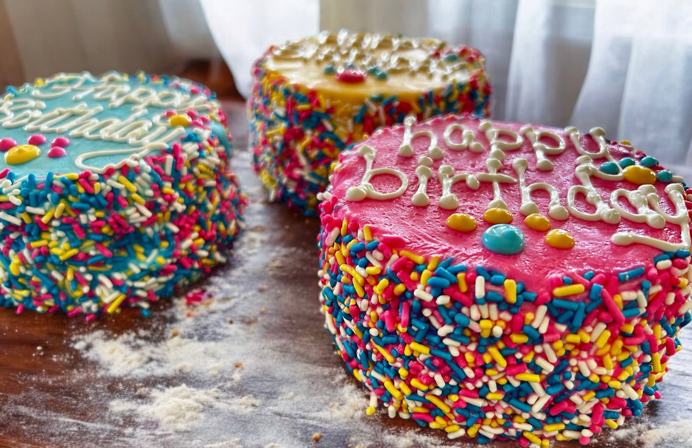 Colorful FIESTA Sprinkle Doggie Cake Treat YumYum4DOGS