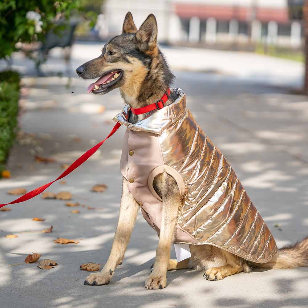 Custom-woven& Dyed Puffer Jacket, Flex Chest + Leash Opening - The Bougie Pet Boutique