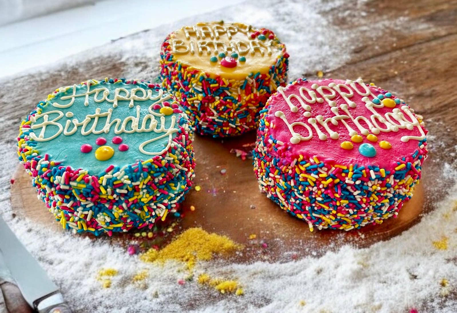 Colorful FIESTA Sprinkle Doggie Cake Treat YumYum4DOGS