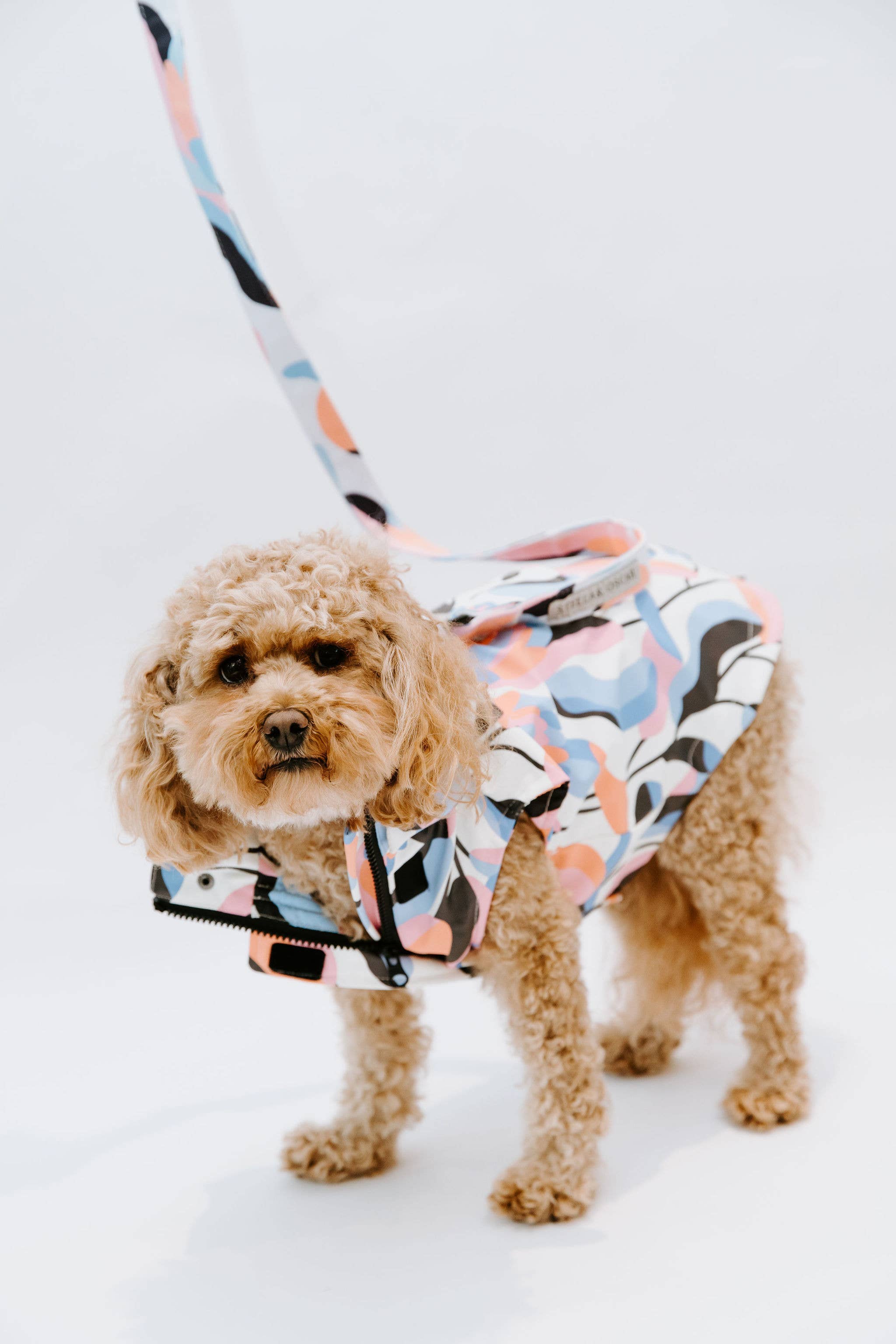 Leaf Dog Rain Jacket Stella & Oscar