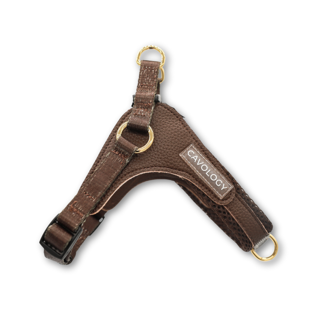 EASY-O STEP IN HARNESS - Chocolate Brown Cavology