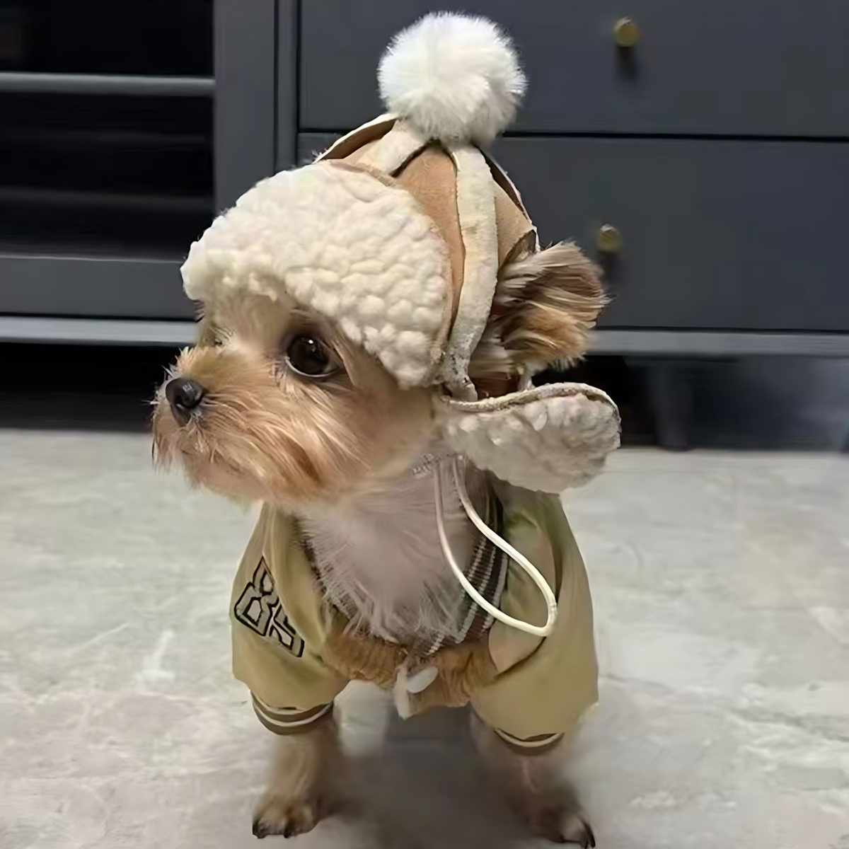 Winter Ear-Free Pet Hat – Faux Shearling Dog Cap_CWAH3750