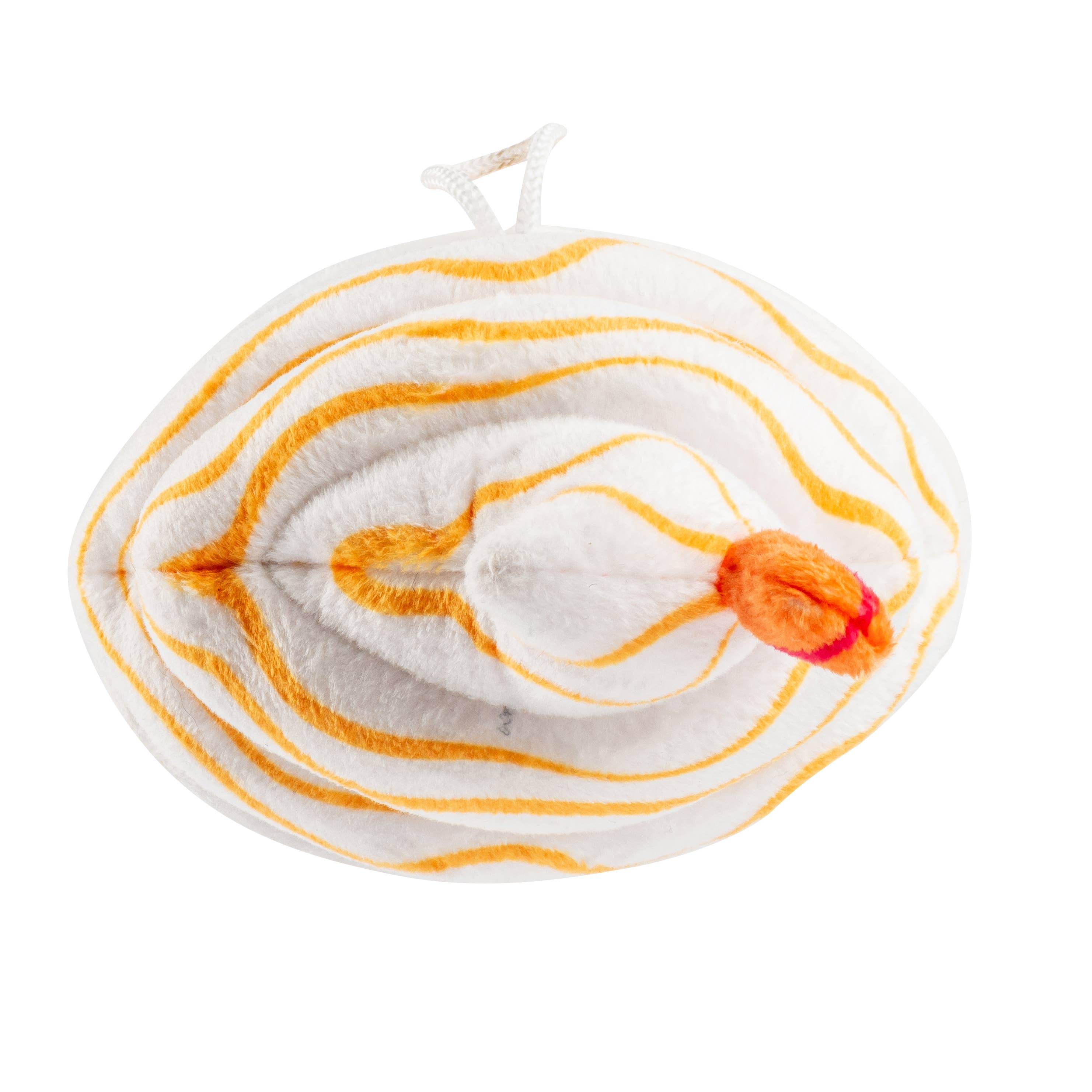 Pupkin' Donuts Iced Coffee