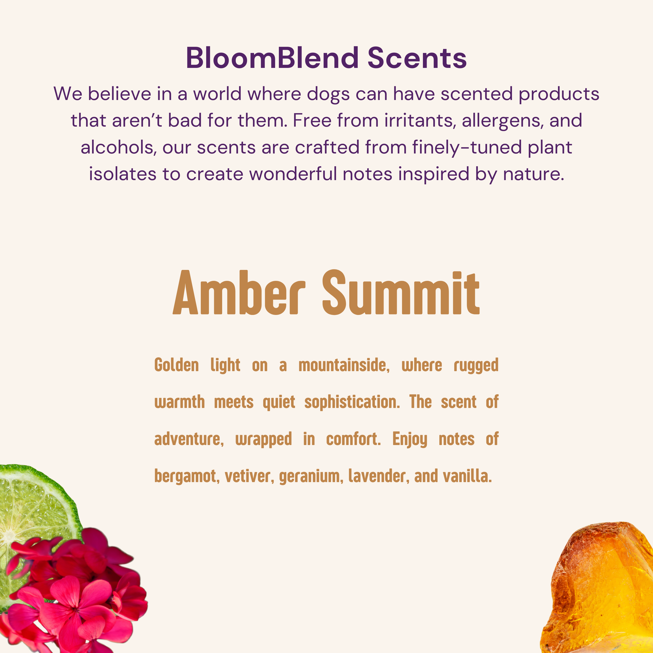 Leave-In Conditioner Spray For Dogs, Amber Summit Bloom Groom