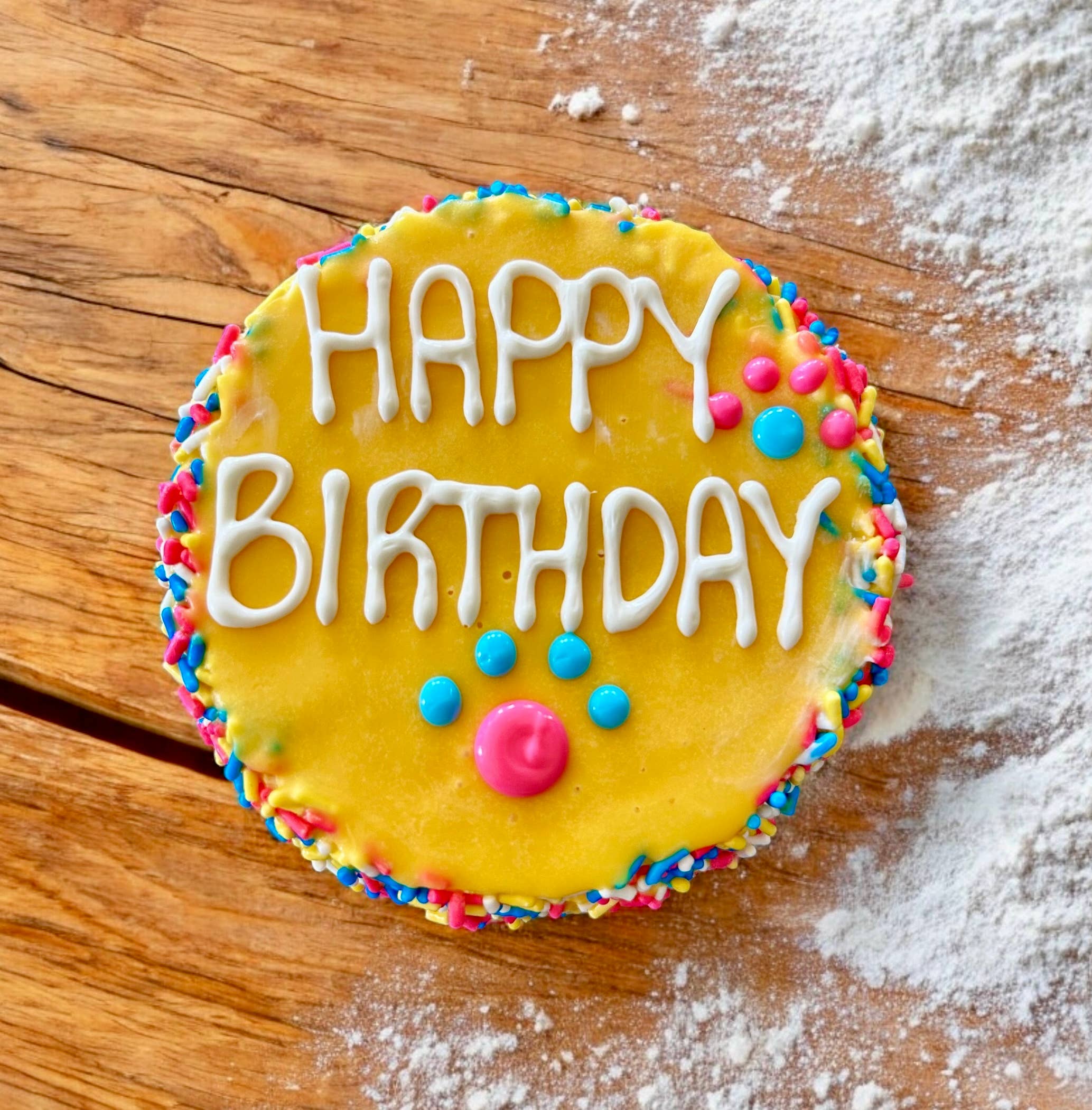 Colorful FIESTA Sprinkle Doggie Cake Treat YumYum4DOGS