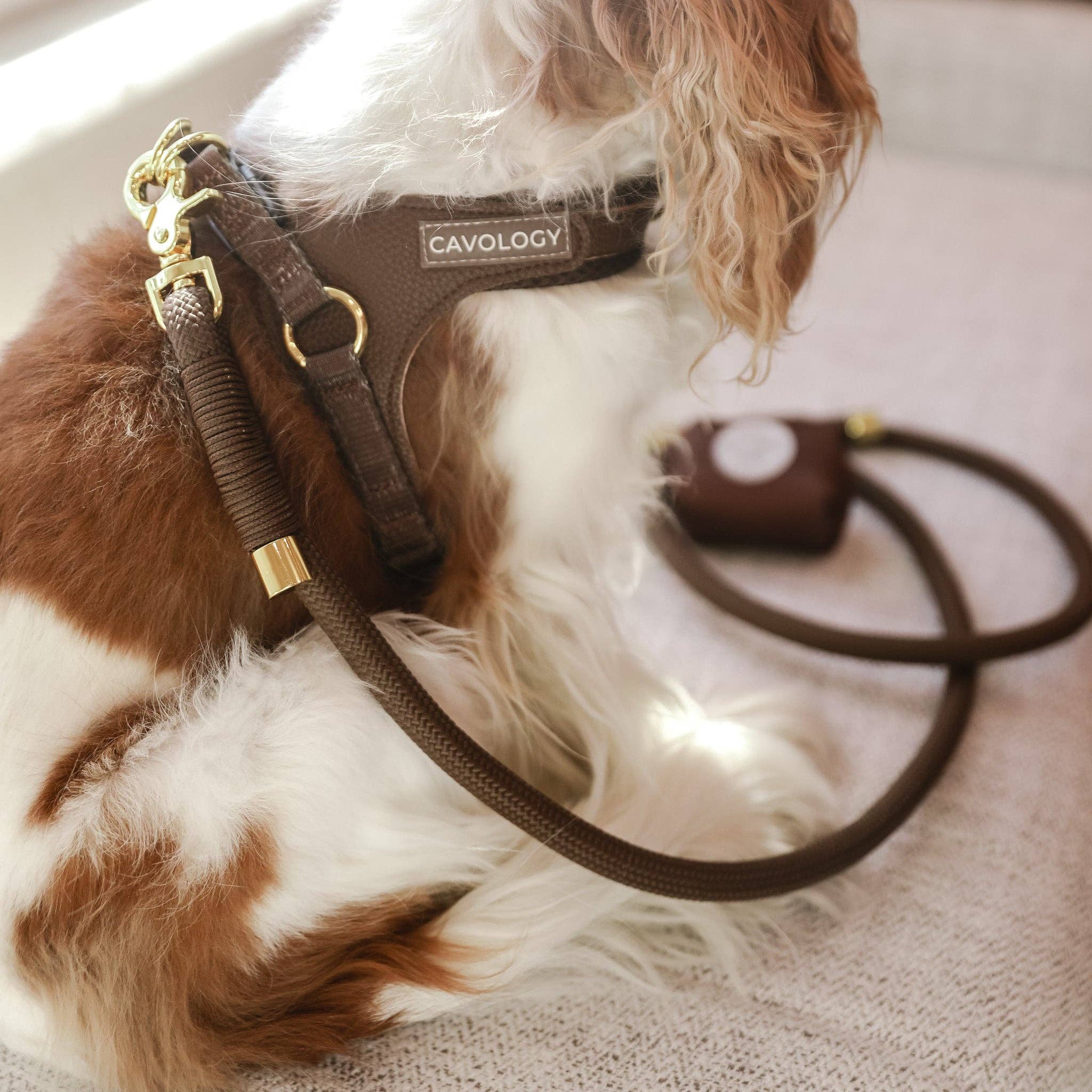 EASY-O STEP IN HARNESS - Chocolate Brown Cavology