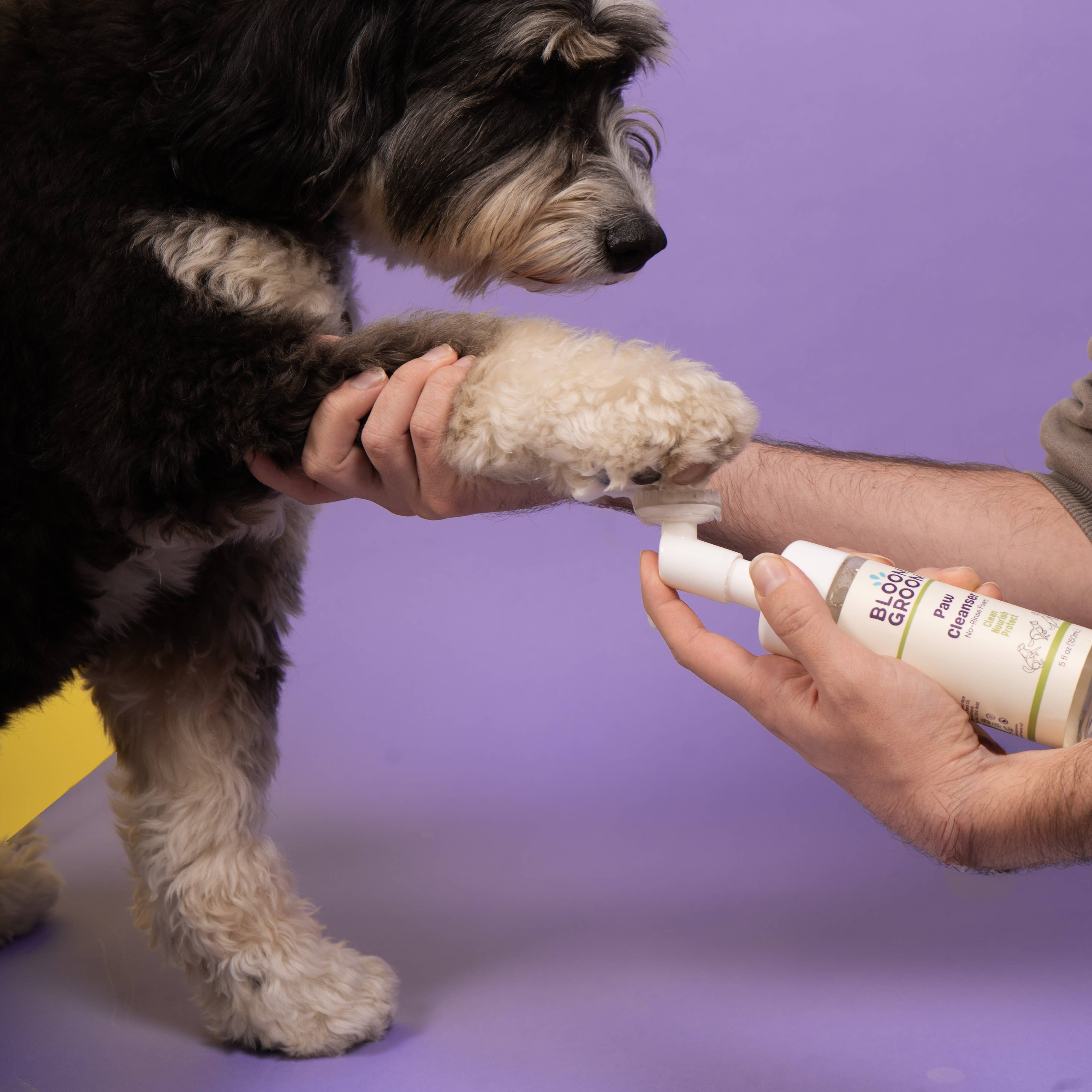 Foaming Paw Cleanser For Dogs Bloom Groom