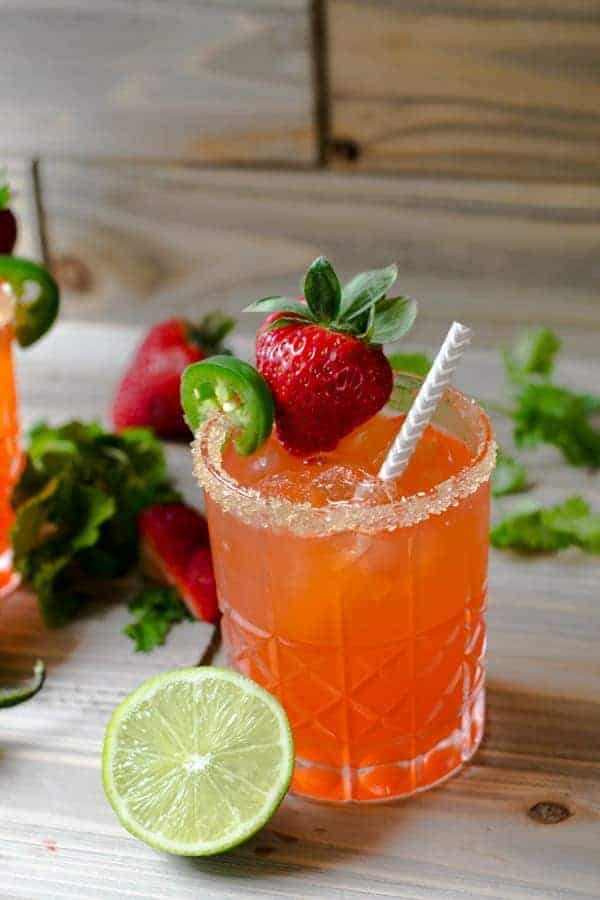 Cocktail Mix Bags Mixology