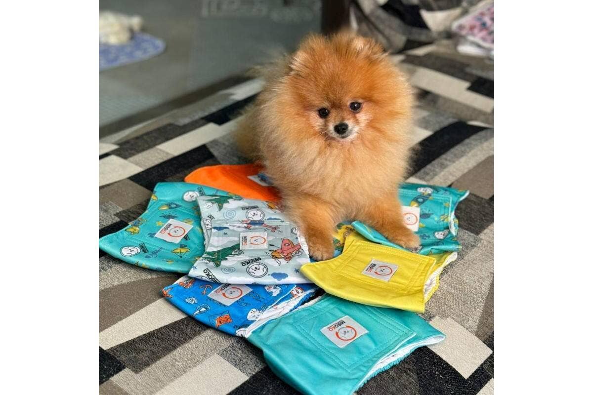 Leakproof & Ultra Absorbent Reusable Male Dog Belly Bands, 3 Pack KIKA USA