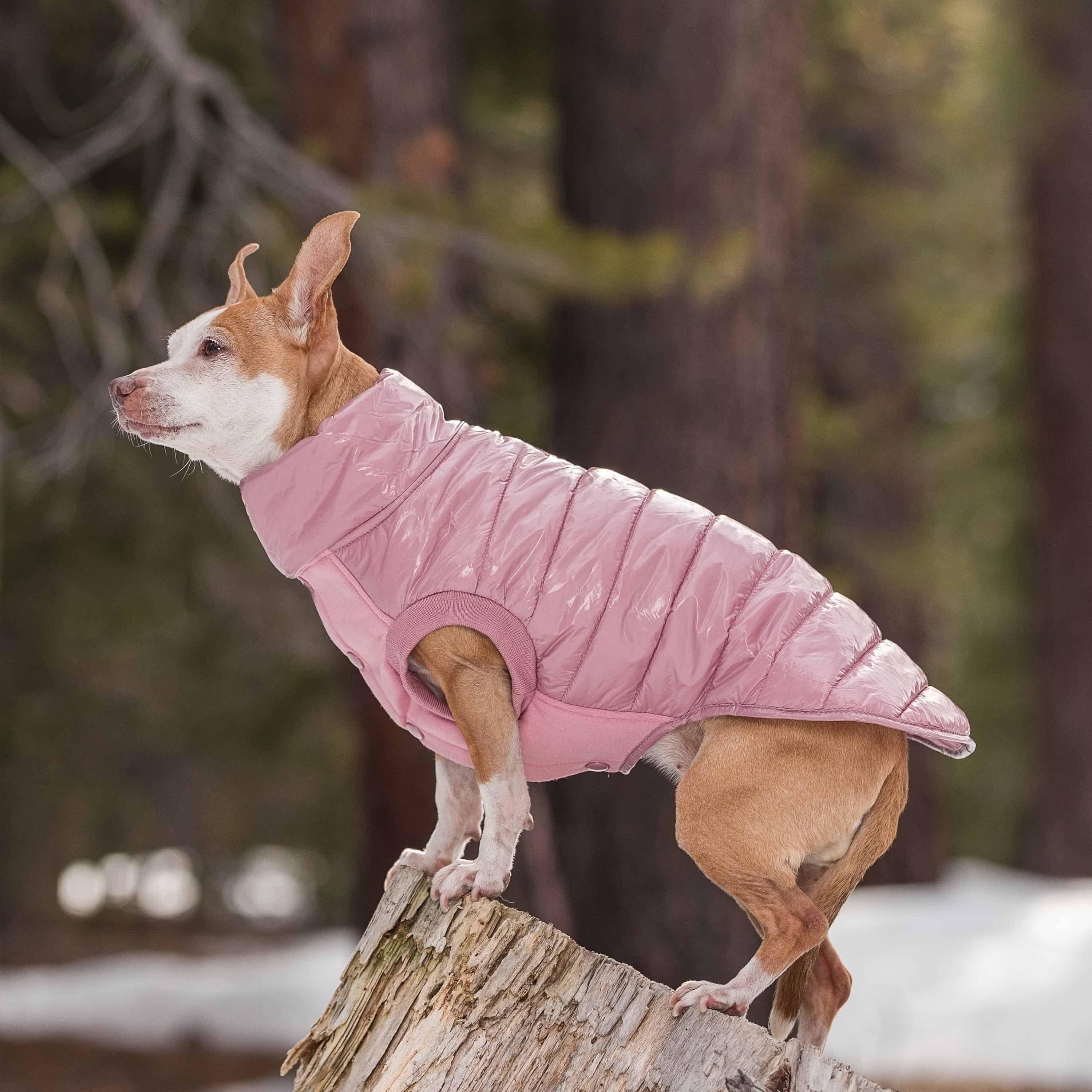 Custom-woven& Dyed Puffer Jacket, Flex Chest + Leash Opening - The Bougie Pet Boutique