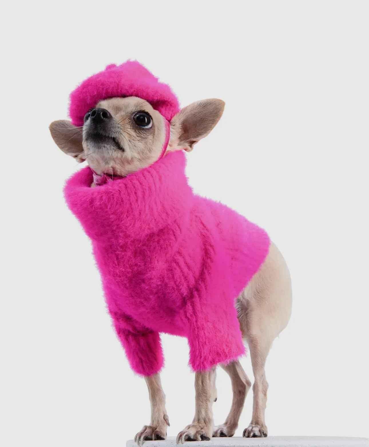Elle Sweater and Beret Set - The Bougie Pet Boutique