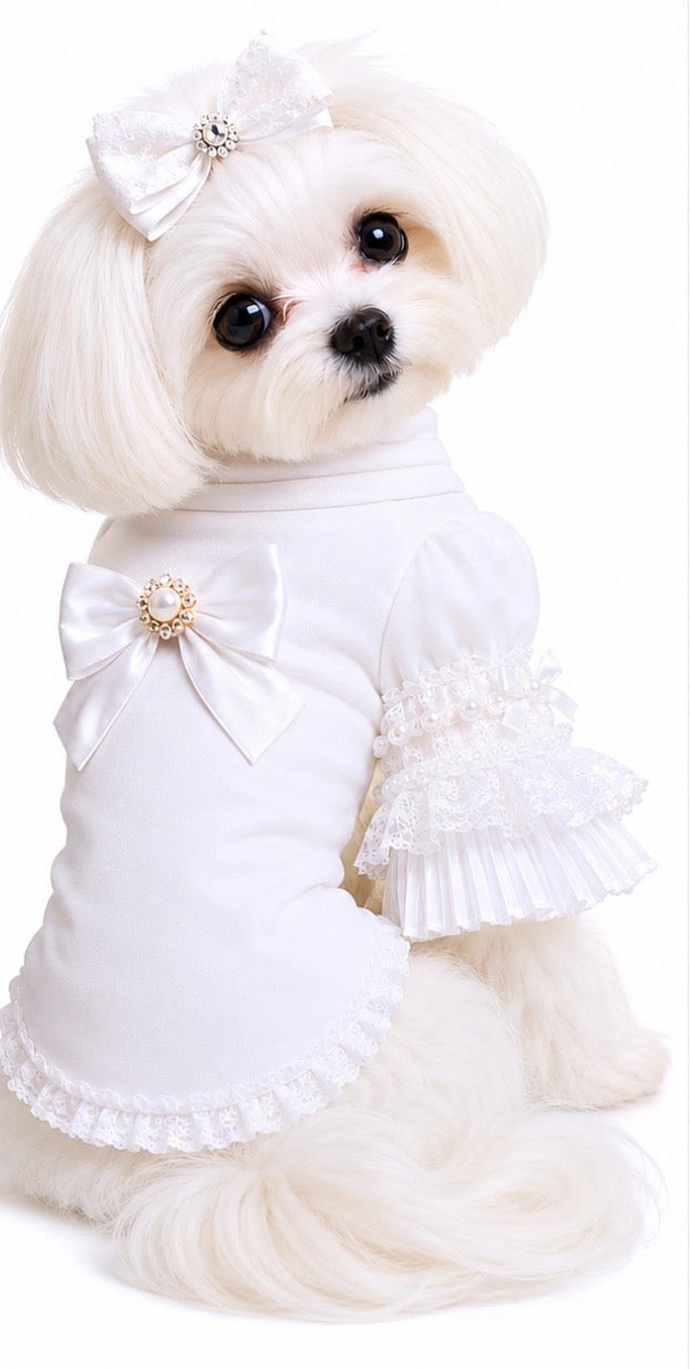 Lace Sleeve Shirt The Bougie Pet Boutique