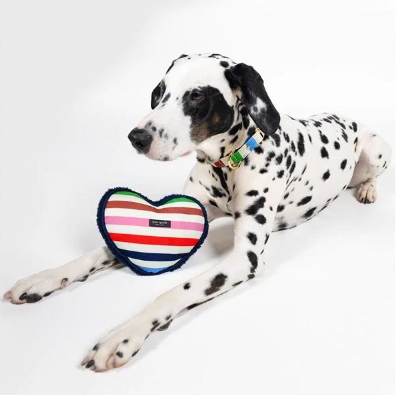 Kate Spade New York Adventure Stripe Heart Pet Chew Toy
