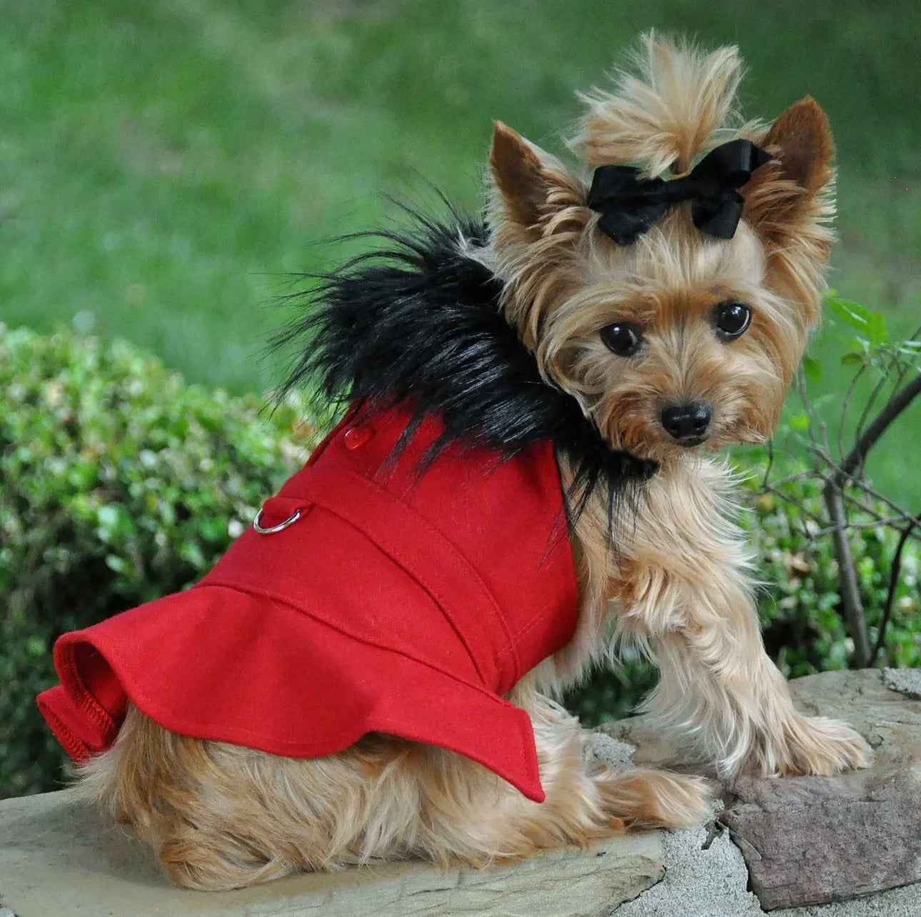 Black Fur Red Dress - The Bougie Pet Boutique