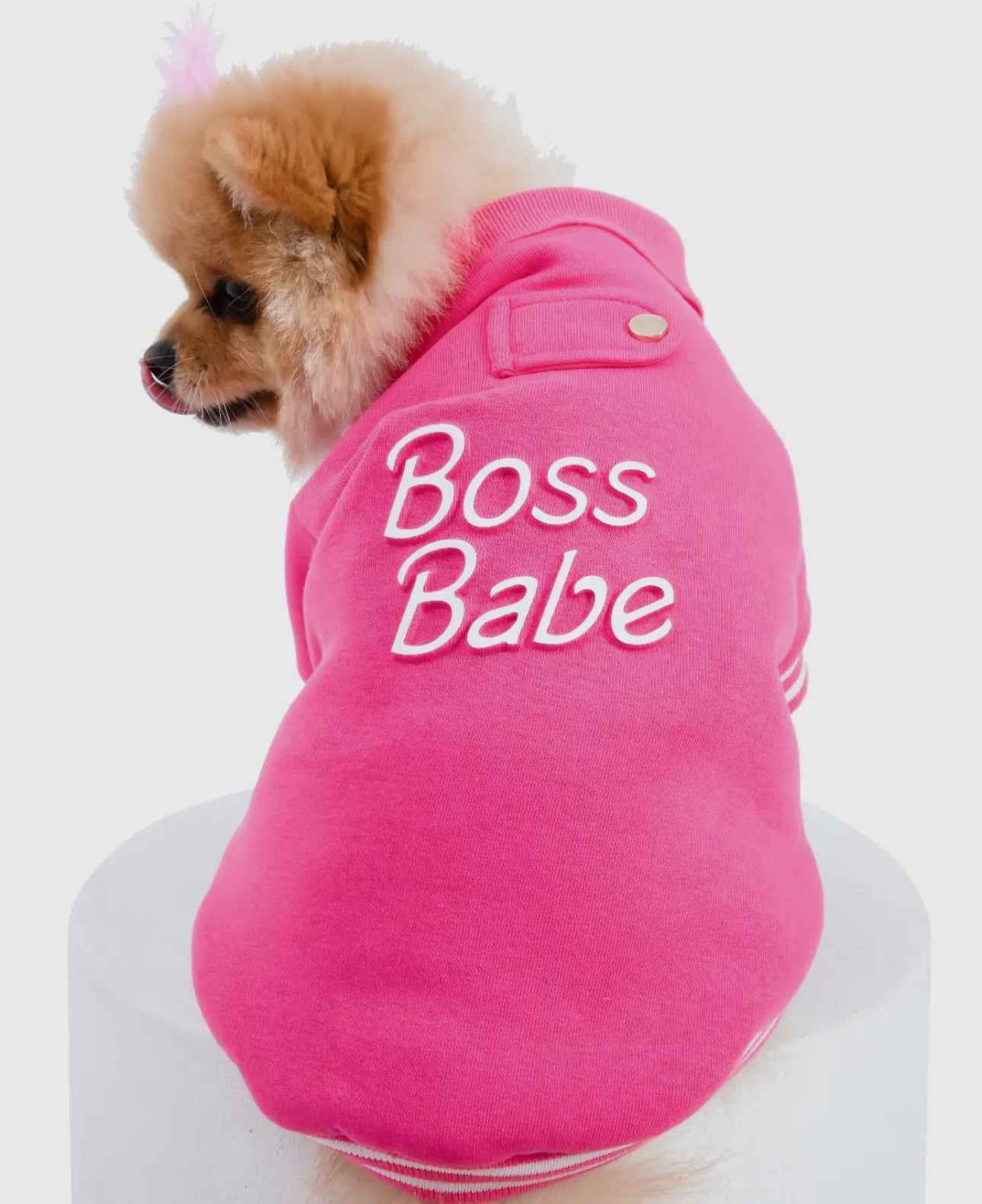 Boss Babe Sweatshirt - The Bougie Pet Boutique