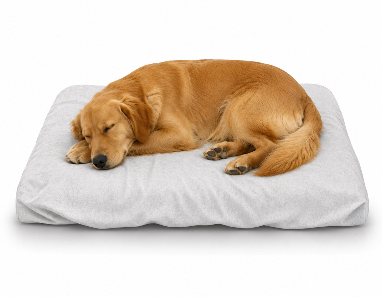 BUPS Premium Disposable Pet Bed Sheets (Pack of 3) RedPetz