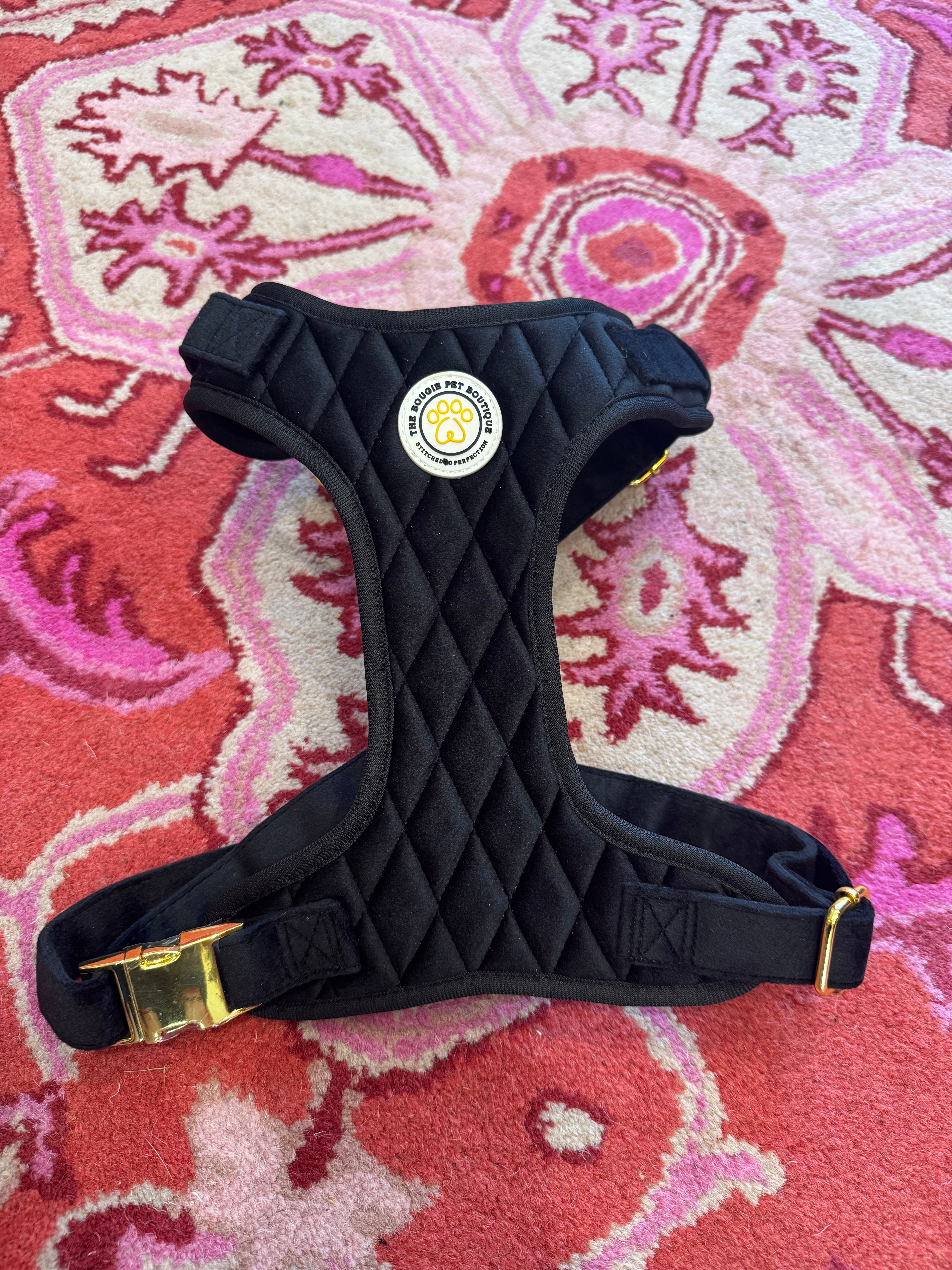 Black Velvet Bougie Pet Harness