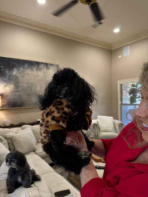 Leopard Sweater - The Bougie Pet Boutique