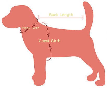 Personalized Pet Collar | Gold Luxe - 6 color choices House of FurBaby