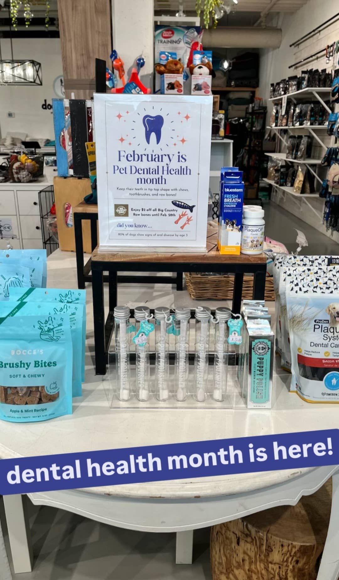 Puppy Polisher Eco Toothbrush - (Medium)