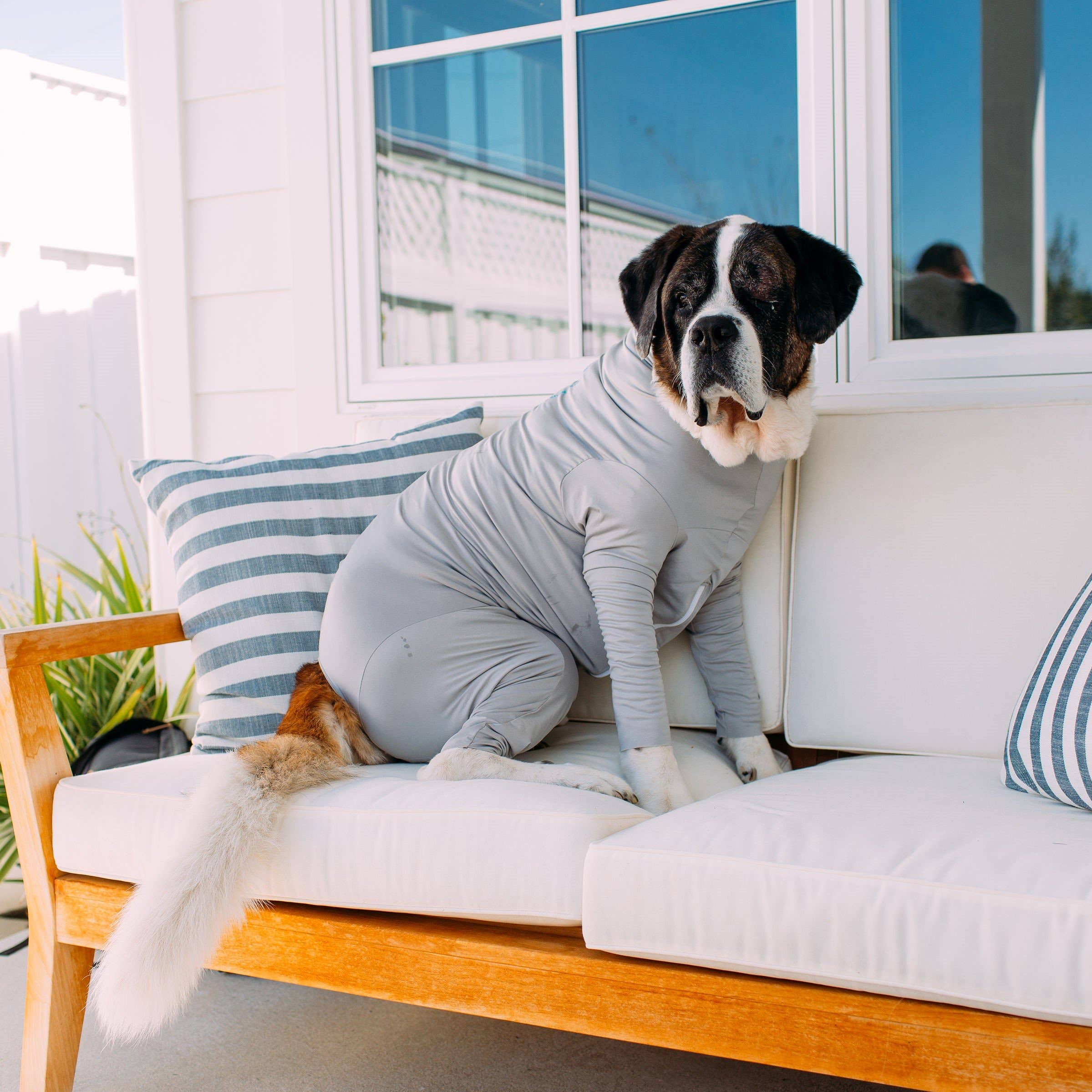 Shed Defender® Original Dog Onesie - Shedding Bodysuit Shed Defender