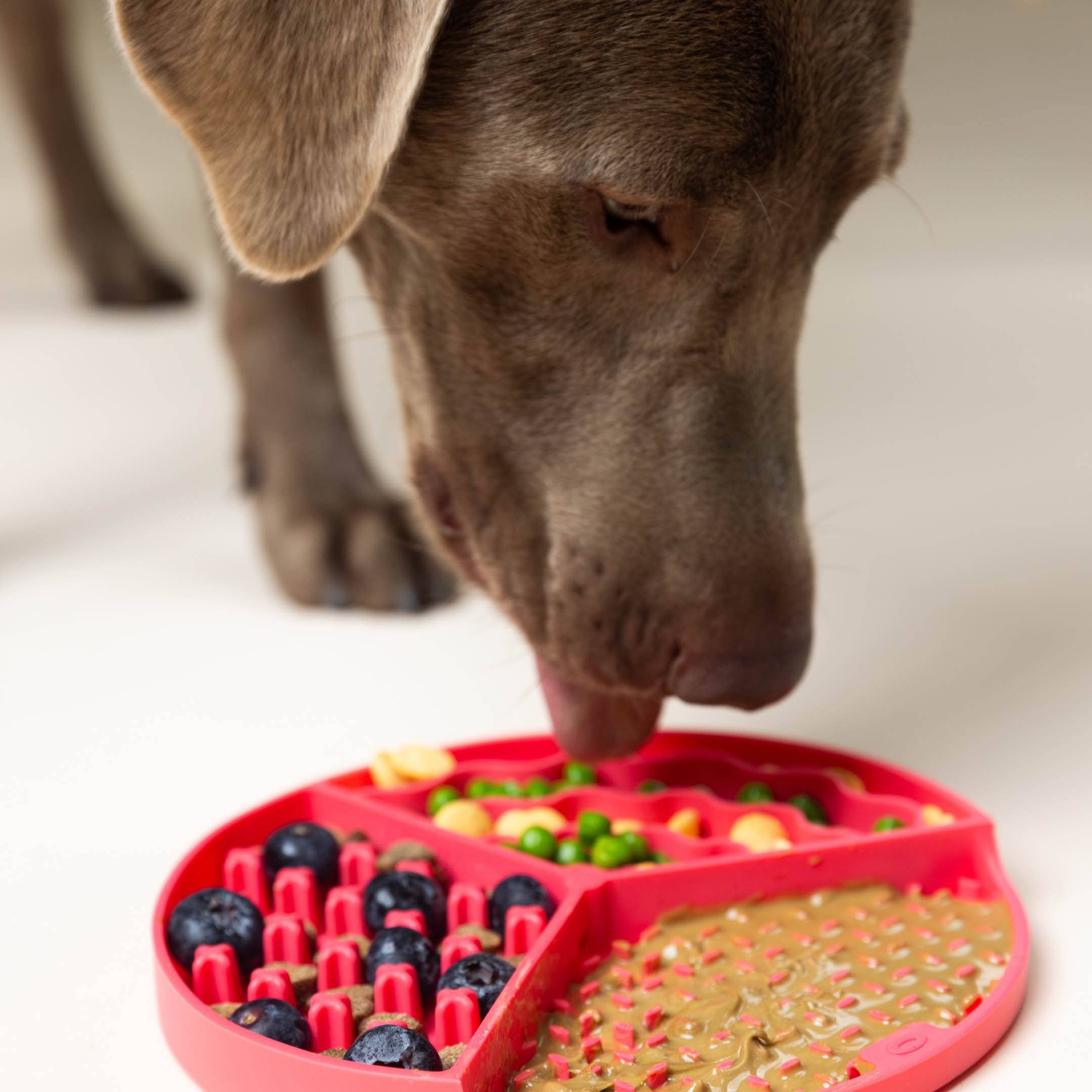 Pink Dog Lick Mat | Pet Food Mat | Dog Feeder