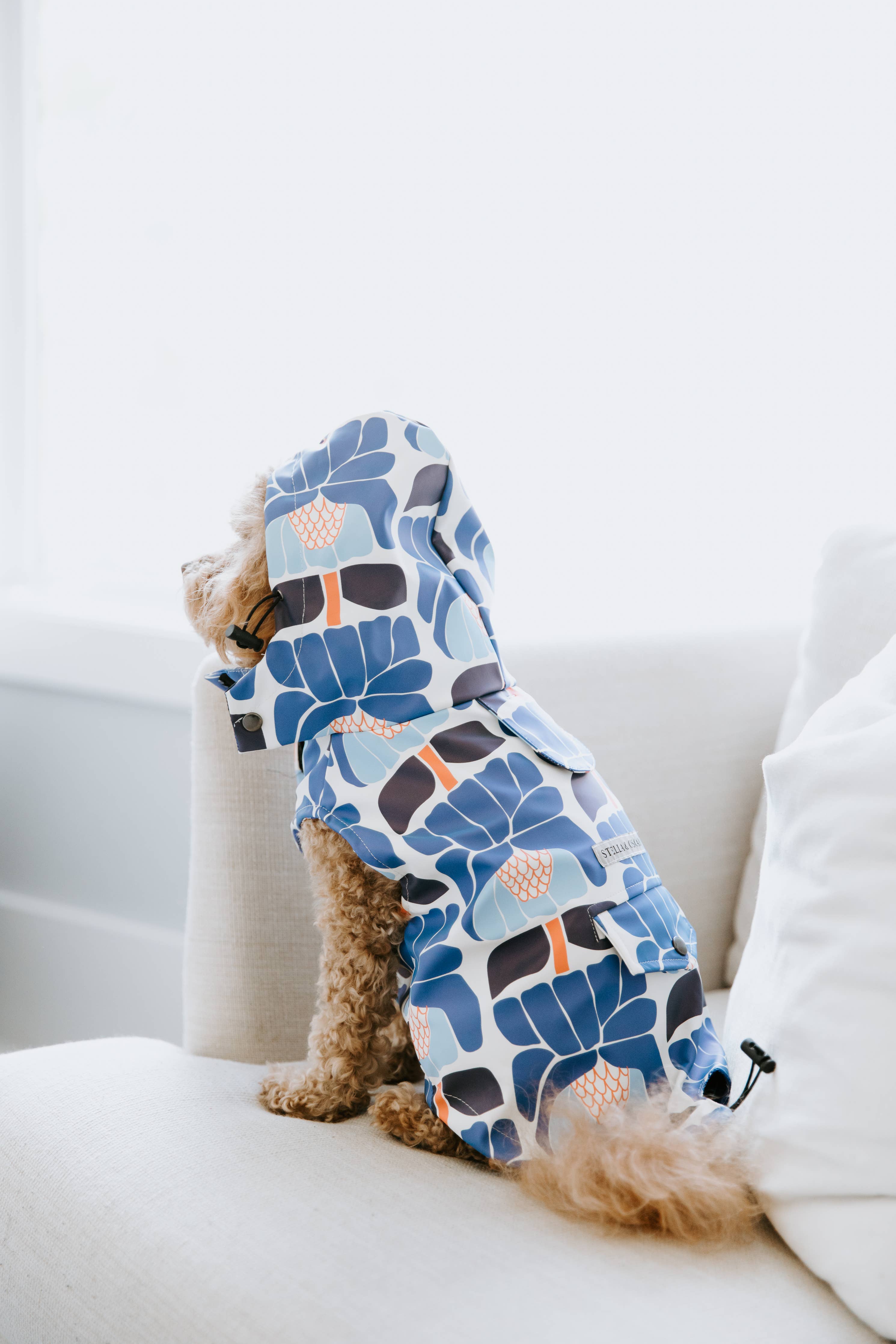 Floral Dog Rain Jacket Stella & Oscar