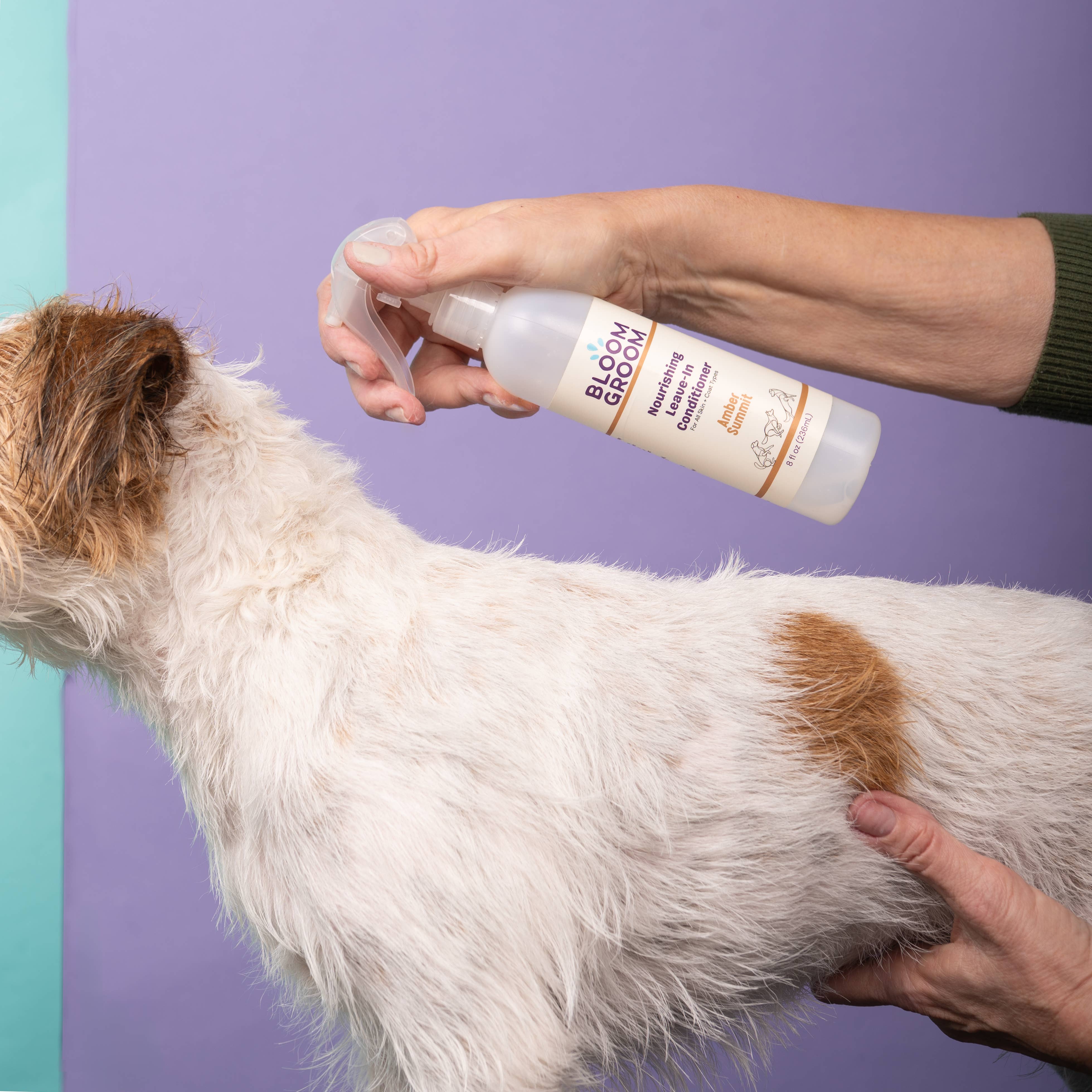 Leave-In Conditioner Spray For Dogs, Amber Summit Bloom Groom