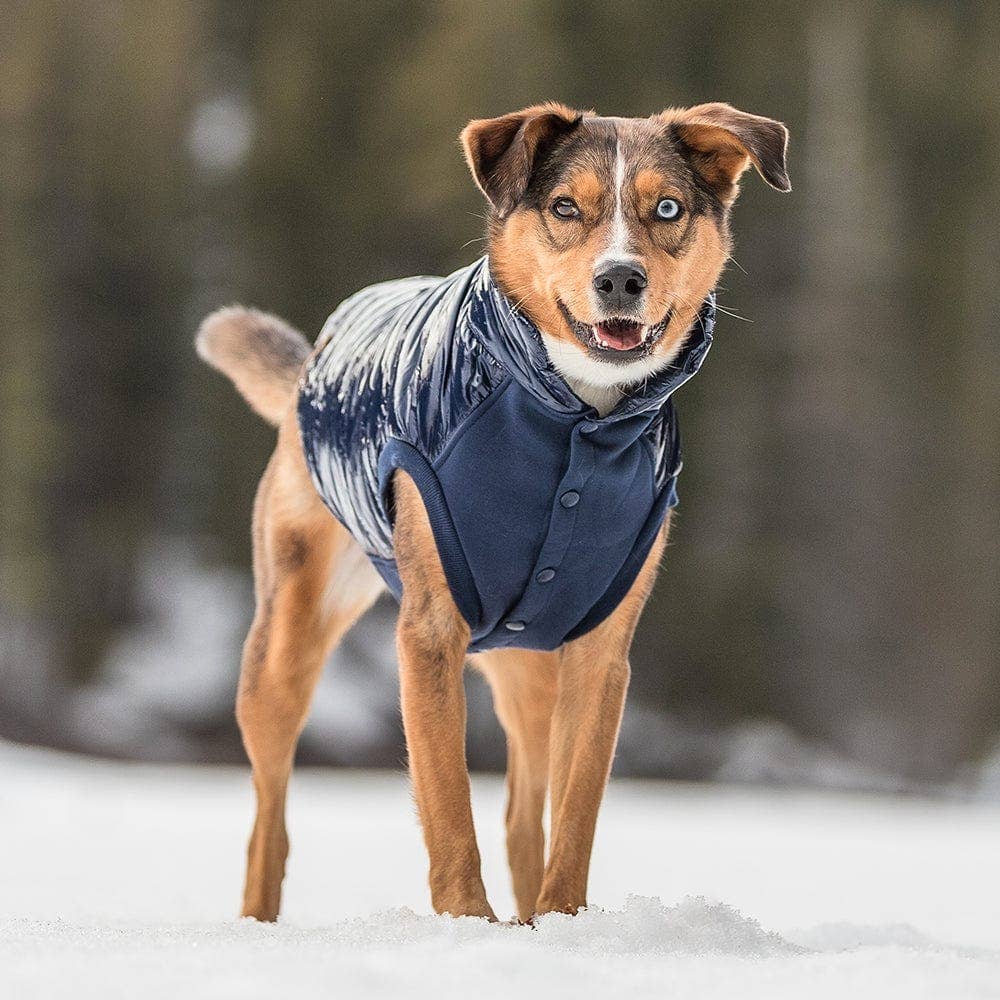Custom-woven& Dyed Puffer Jacket, Flex Chest + Leash Opening - The Bougie Pet Boutique