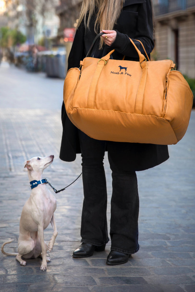 5 Signs You're a Bougie Pet Parent (And Proud of It)