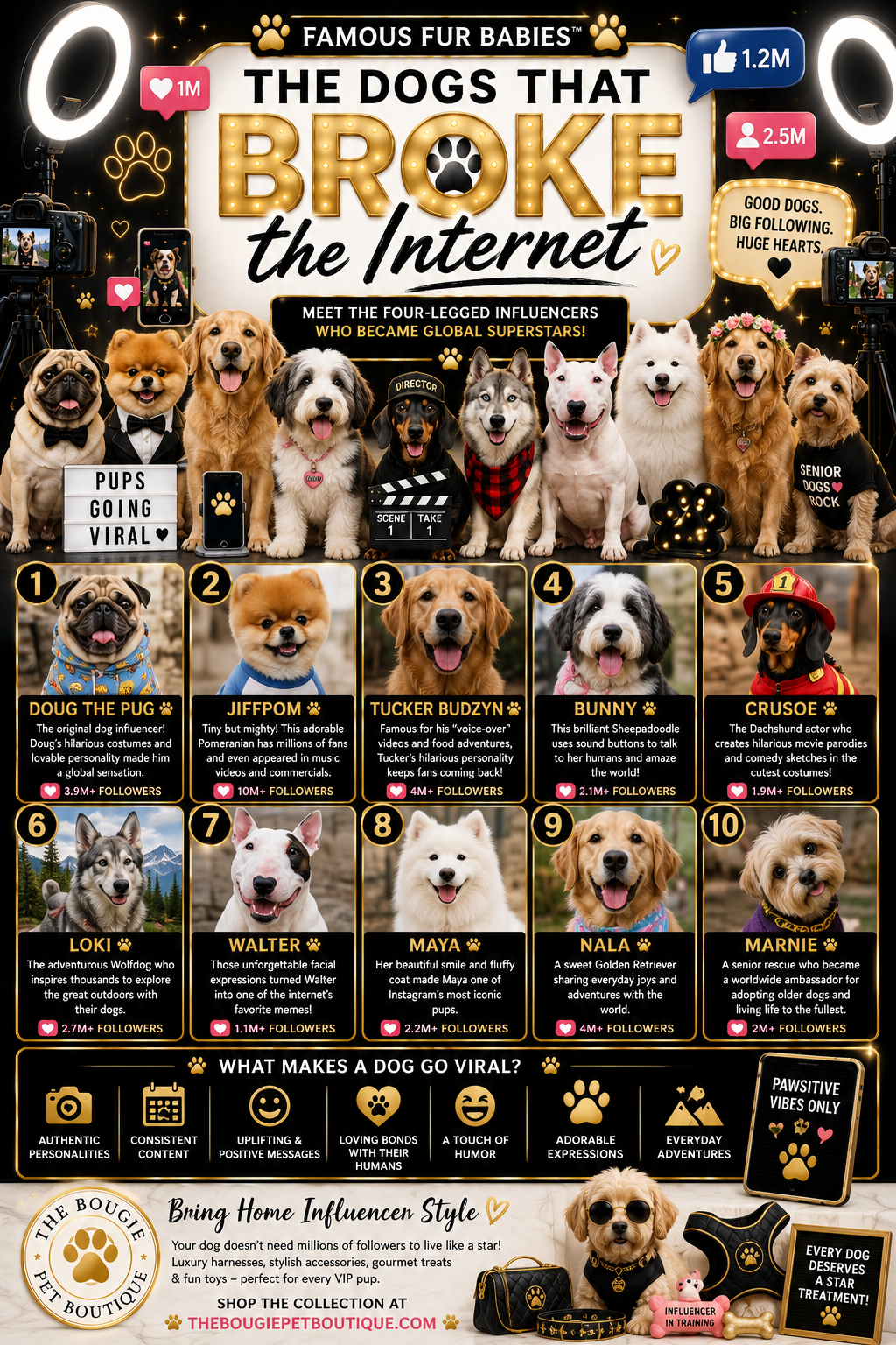The Dogs That Broke the Internet