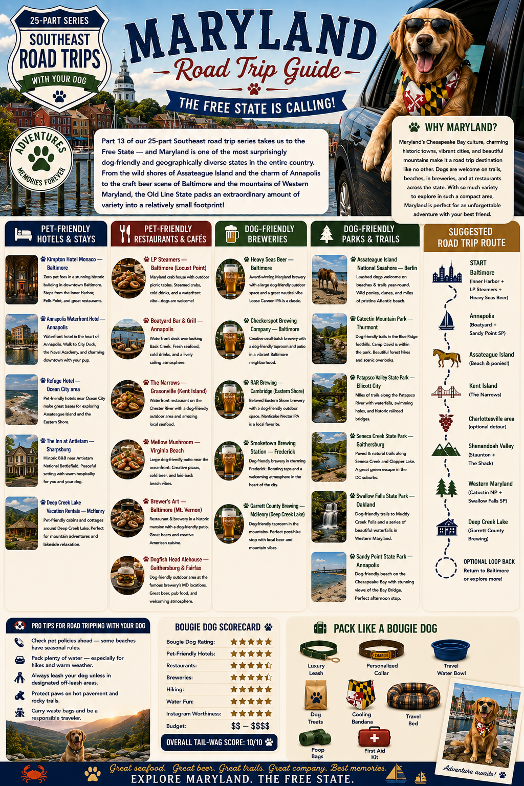 A dog exploring dog-friendly destinations in Maryland including Assateague Island and the Chesapeake Bay waterfront