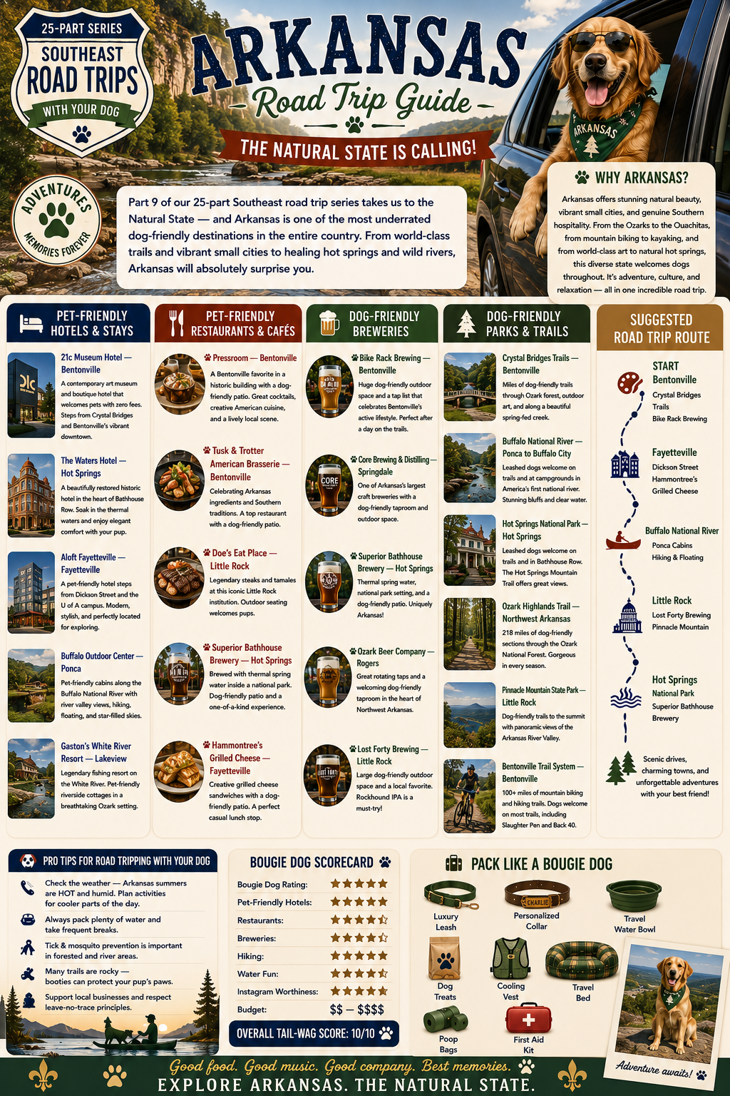 A dog exploring dog-friendly trails and parks in Arkansas including the Ozark Mountains and Buffalo National River on a Southeast road trip