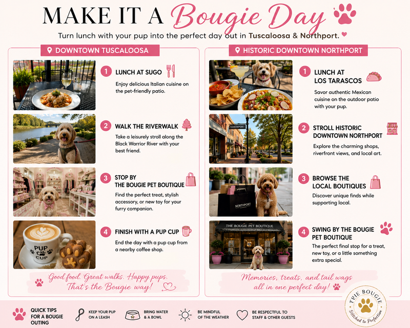 Bougie Local Guide: Pet-Friendly Restaurants & Day Trips in Tuscaloosa & Northport
