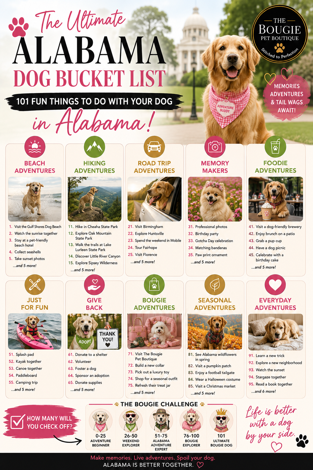 A dog enjoying outdoor adventures in Alabama from Gulf Shores beaches to Cheaha mountain trails as part of the ultimate Alabama dog bucket list