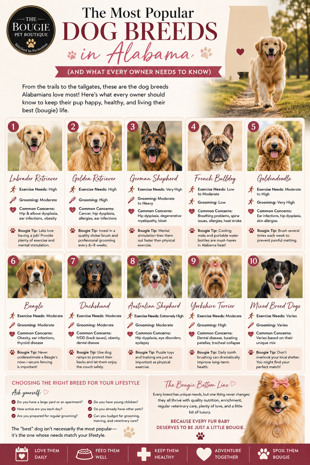 The Most Popular Dog Breeds in Alabama (And What Every Owner Needs to Know)
