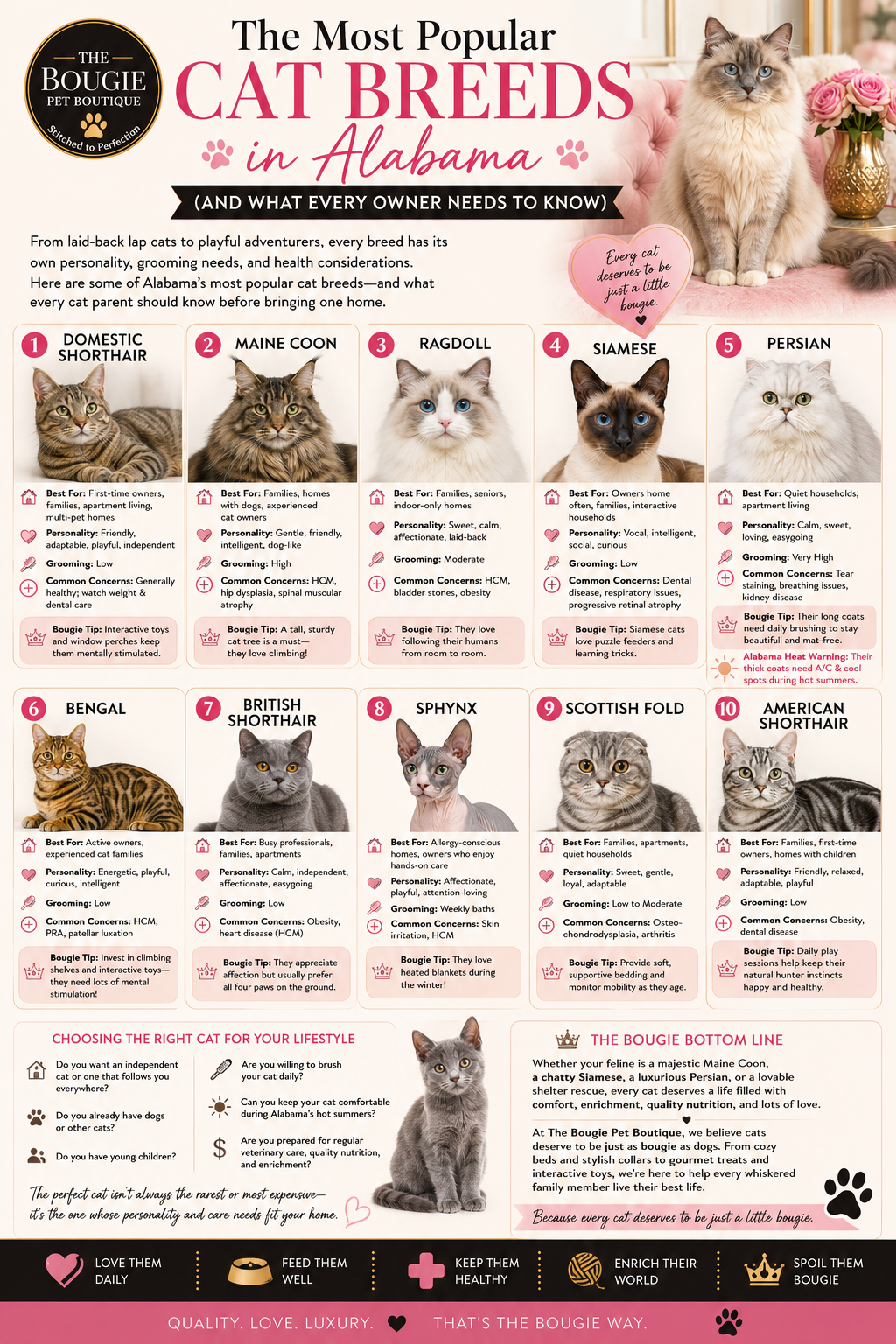 The Most Popular Cat Breeds in Alabama (And What Every Owner Needs to Know)