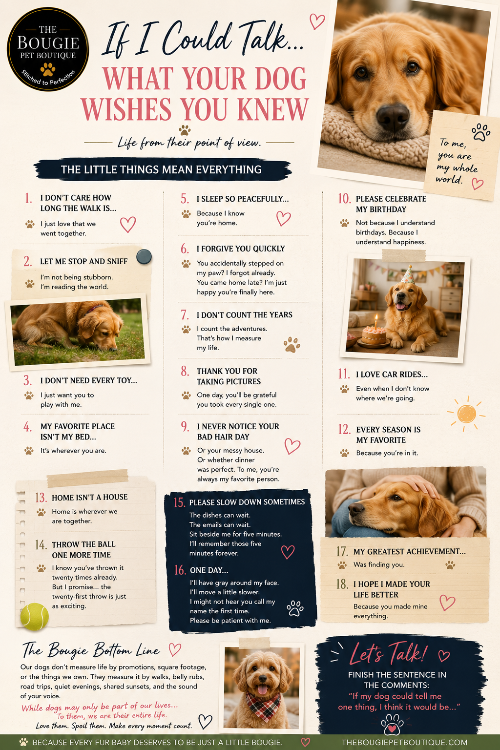 If I Could Talk... What Your Dog Wishes You Knew