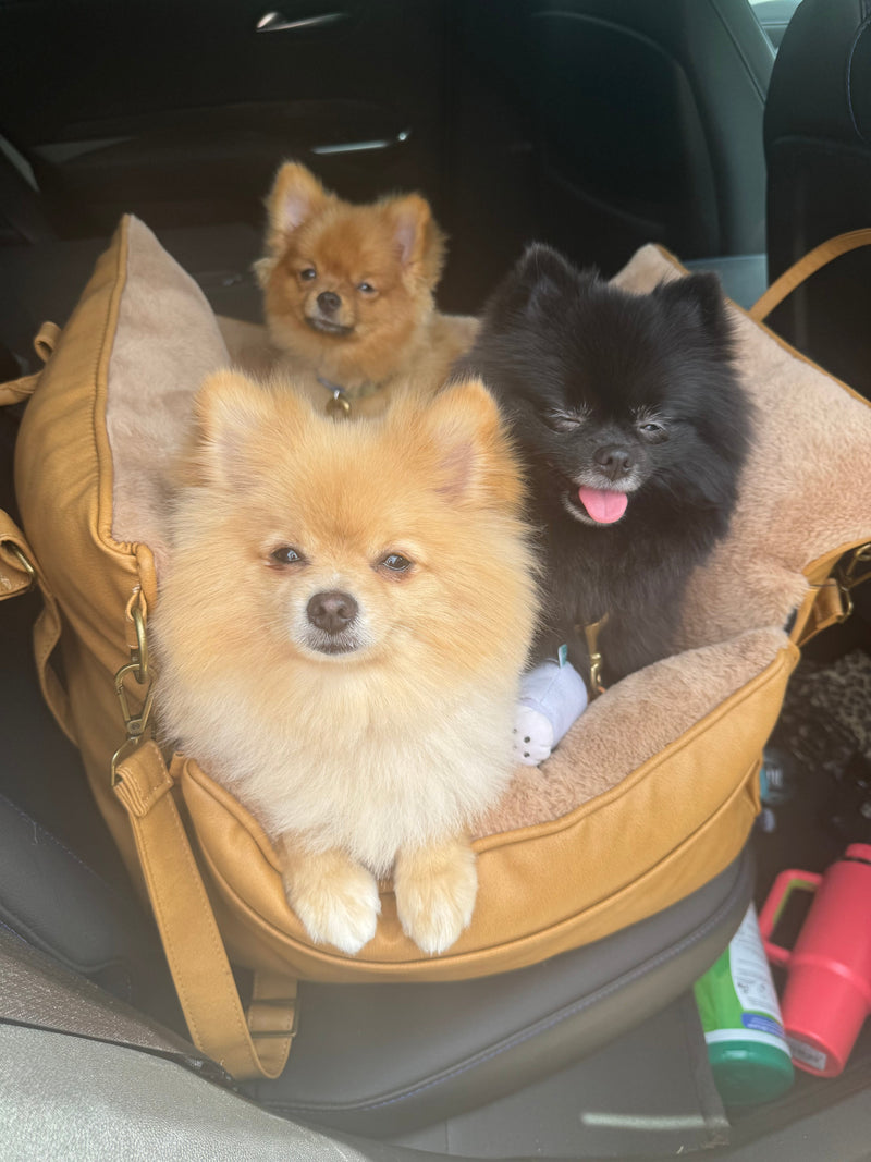 Shop Local, Love Local: Why Saturdays Are Made for Bougie Pet Shopping 🐾