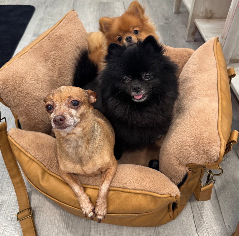 Friday Finds: This Week's Bougie Picks for Your Fur Baby
