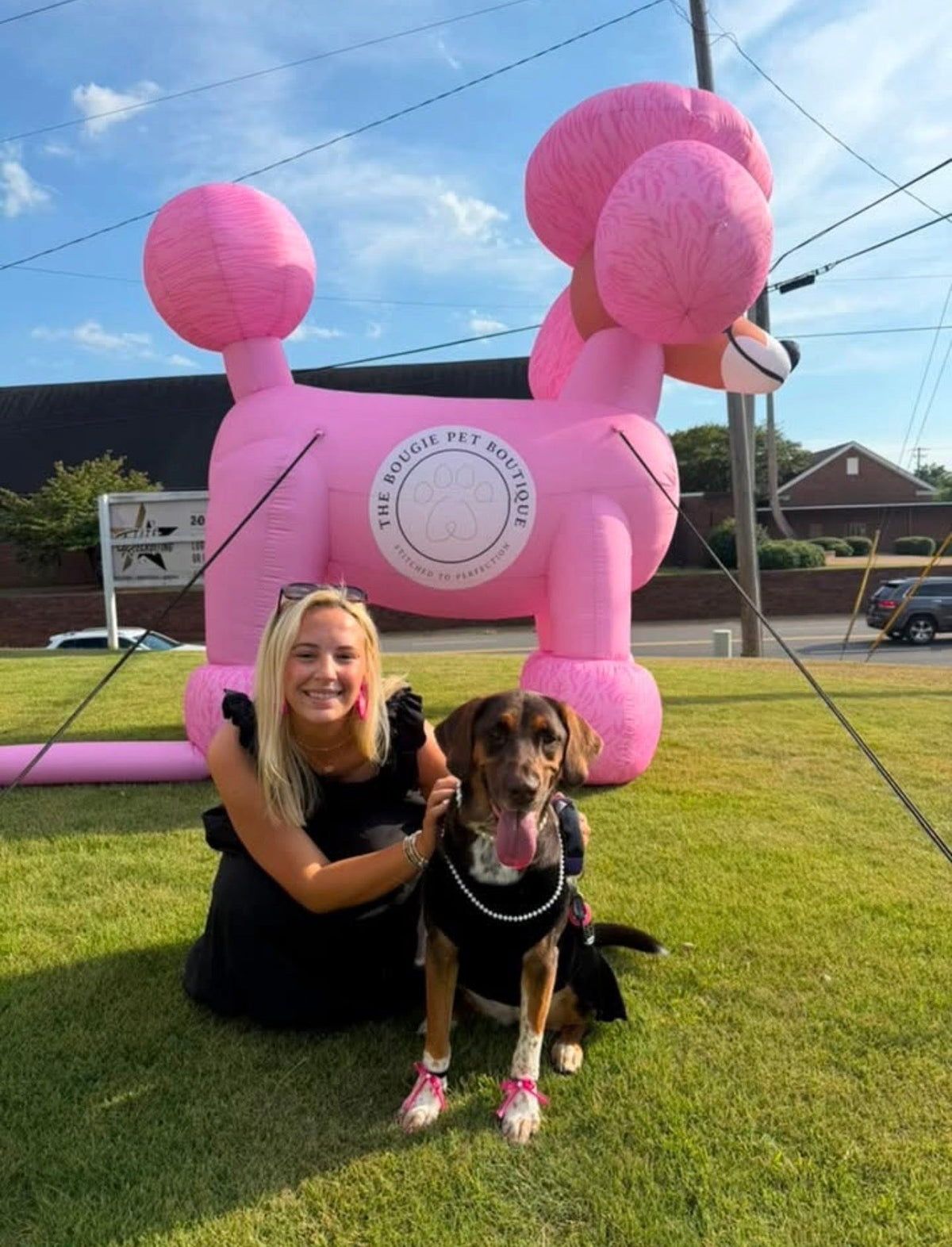 Meet Lexi Grace: Our September 2026 Pet of the Month 👑